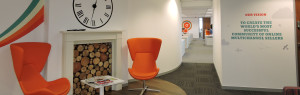Volo offices