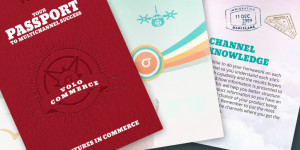 volo passport to success