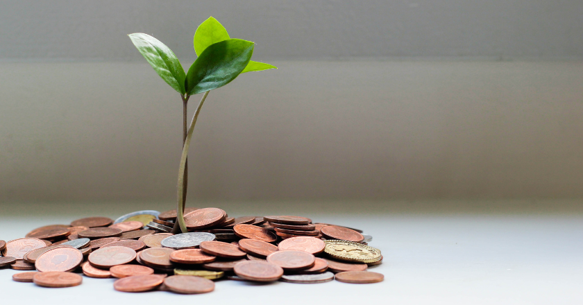 a new growth sprouting from money